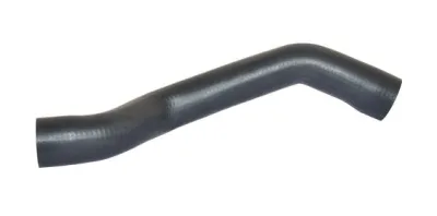 TURBO HORTUMU