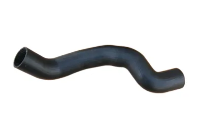 TURBO HORTUMU