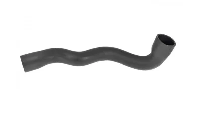 TURBO HORTUMU